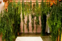 img of The Ultimate Eucalyptus Dress Style Guide
