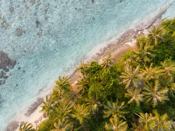 img of Ultimate Guide to Planning a Costa Rica Destination Wedding