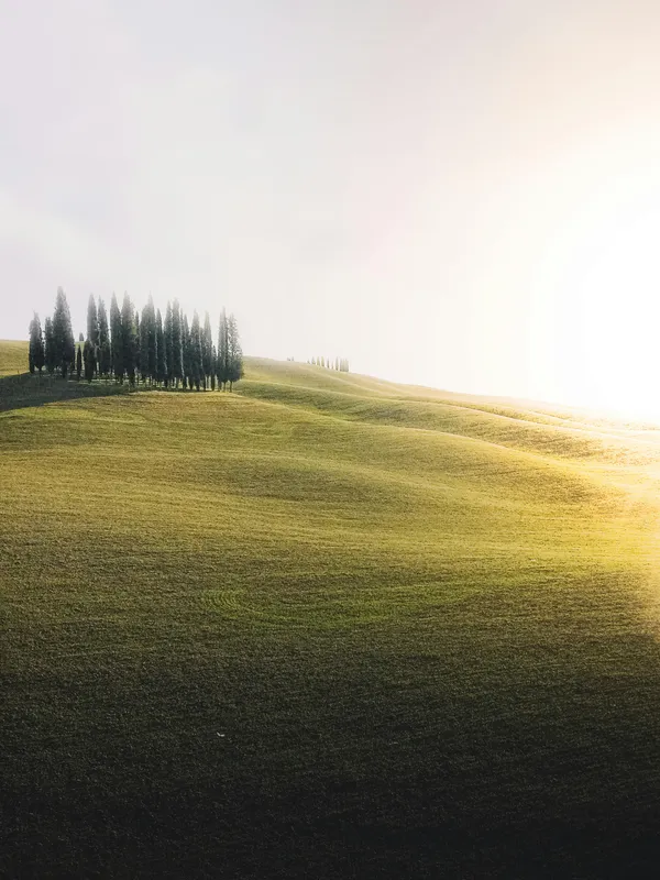 img of Ultimate Guide to Planning a Dreamy Tuscany Wedding